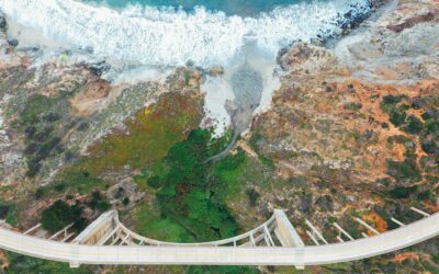 The Value Selling Paradox