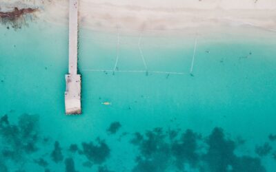 Beyond the Shiny AI Objects: The Hidden ROI of Foundational Tech in the AI Era